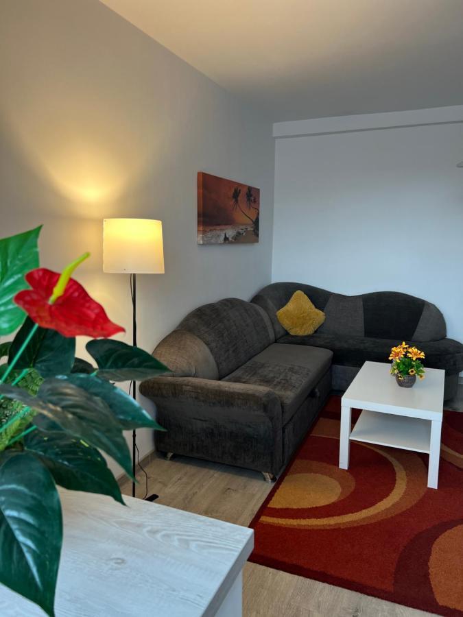 Apartamento House51 Braşov Exterior foto